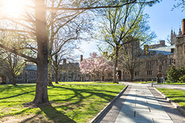 北京市朝阳区北外同文外国语学校